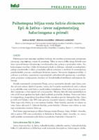 Psihotropna biljna vrsta Salvia divinorum Epl. & Jativa - izvor najpotentnijeg halucinogena u prirodi