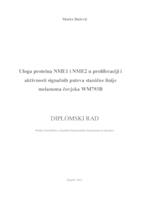 Uloga proteina NME1 i NME2 u proliferaciji i aktivnosti signalnih puteva stanične linije melanoma čovjeka WM793B