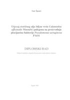 Utjecaj eteričnog ulja biljne vrste Calaminhta officinalis Moench i pulegona na proizvodnju piocijanina bakterije Pseudomonas aeruginosa PAO1