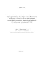 Utjecaj eteričnog ulja biljne vrste Micromeria thymifolia (Scop.) Fritsch i pulegona na proizvodnju pigmenta piocijanina bakterije Pseudomonas aeruginosa PAO1