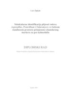 Molekularna identifikacija plijesni rodova Aspergillus, Penicillium i Talaromyces u vlažnom stambenom prostoru primjenom sekundarnog markera za gen kalmodulin