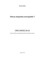 prikaz prve stranice dokumenta Sinteza antagonista neuropeptida Y