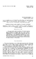 prikaz prve stranice dokumenta Anatomska istraživanja endemičnih vrsta Centaurea rupestris L. i C. fritschii Hayek (Asteraceae)