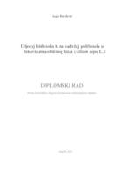 prikaz prve stranice dokumenta Utjecaj bisfenola A na sadržaj polifenola u lukovicama običnog luka (Allium cepa L.)
