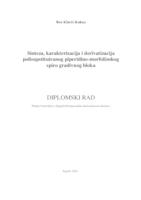 prikaz prve stranice dokumenta Sinteza, karakterizacija i derivatizacija polisupstituiranog piperidino-morfolinskog spiro gradivnog bloka