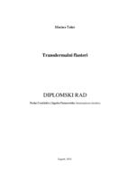prikaz prve stranice dokumenta Transdermalni flasteri