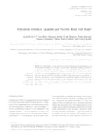 prikaz prve stranice dokumenta Ochratoxin A induces apoptotic and necrotic renal cell death